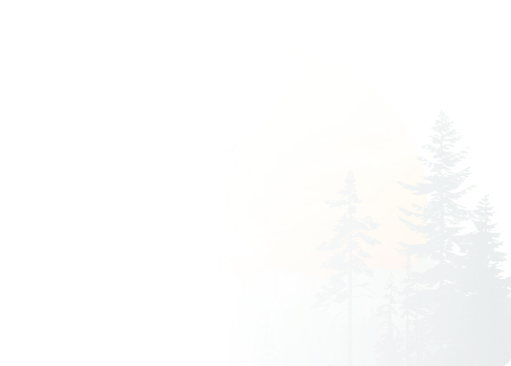 Bellandur urban safety solutions